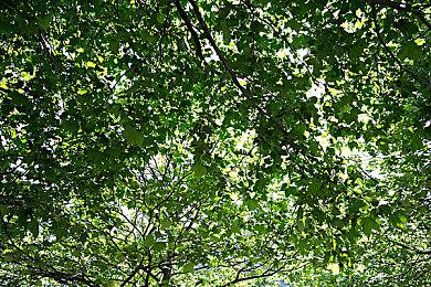 复古风格2D动作游戏《狂暴小子》确定3月7日发售